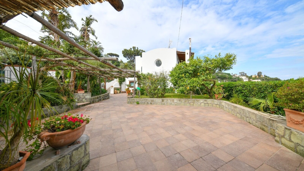 Photo of Outdoor in Lacco Ameno