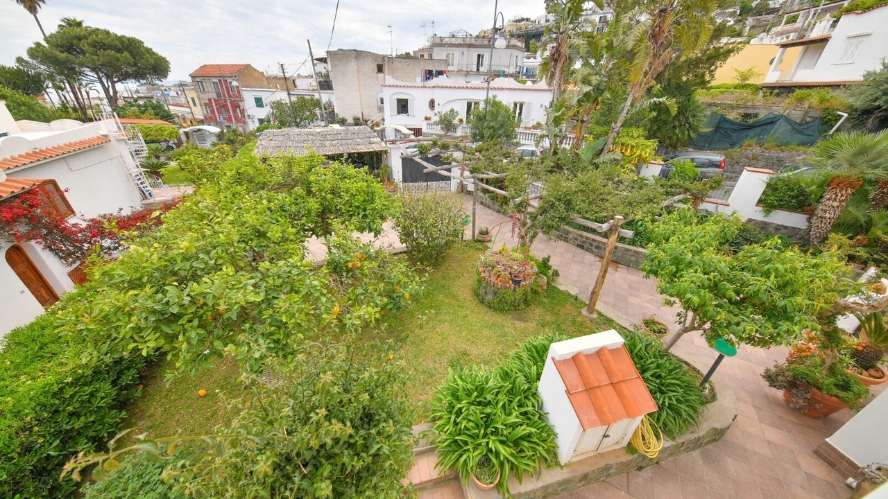 Photo of Outdoor in Lacco Ameno