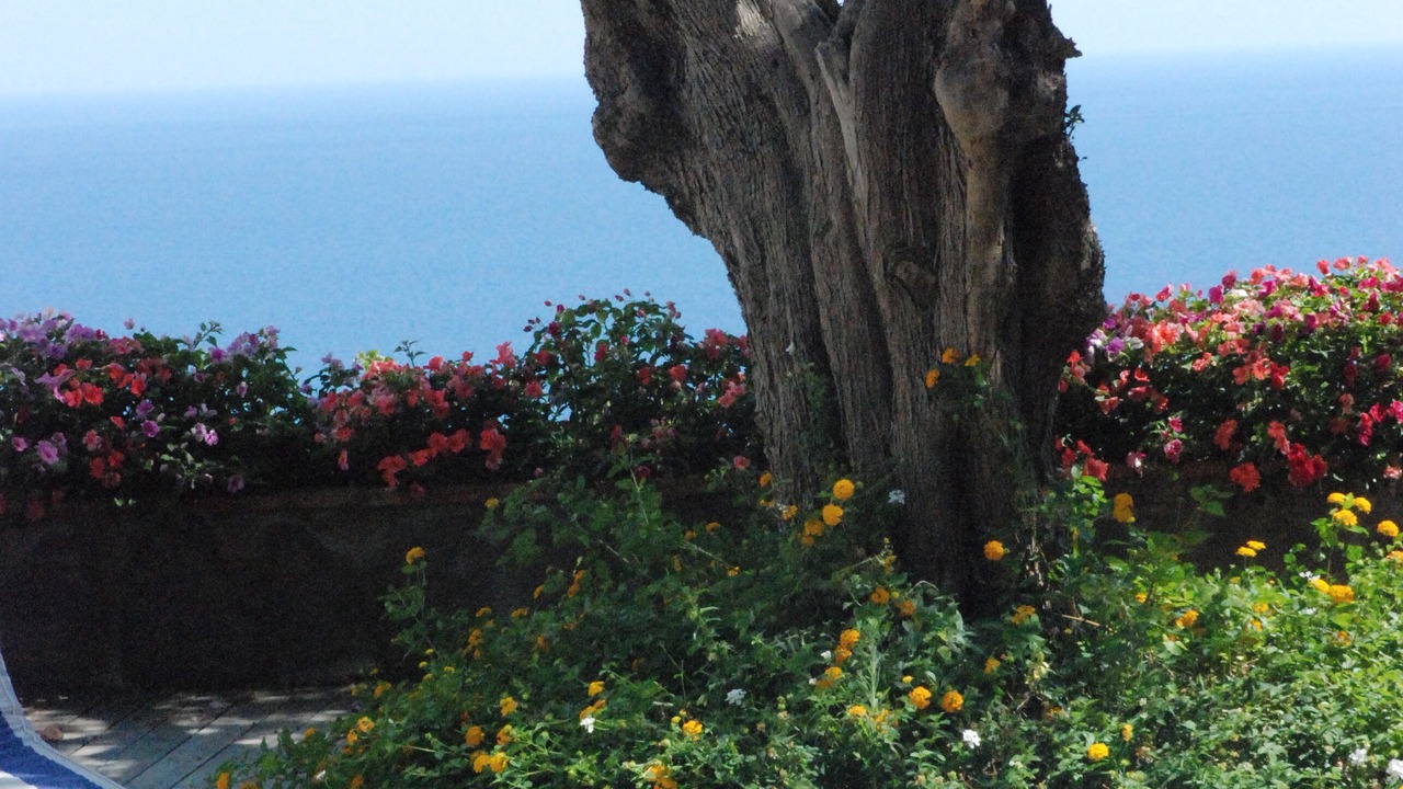 Photo of Outdoor in Marina Piccola