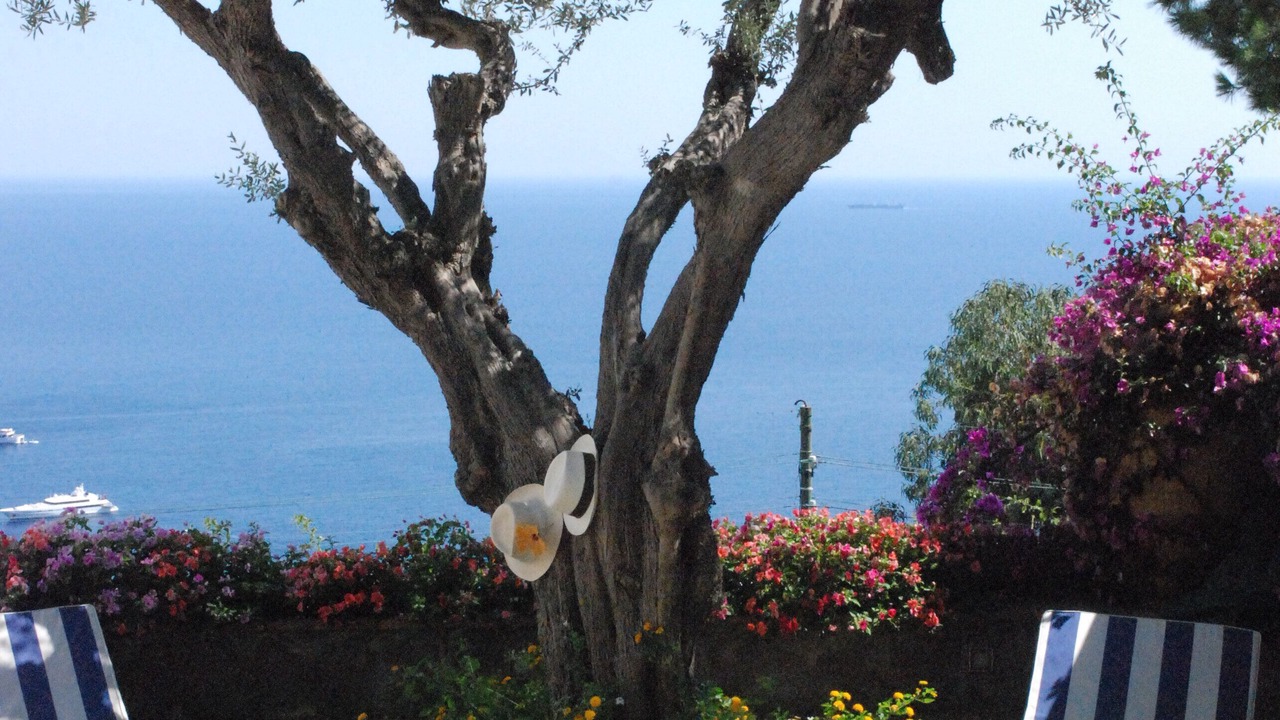 Photo of Patio Balcony in Marina Piccola