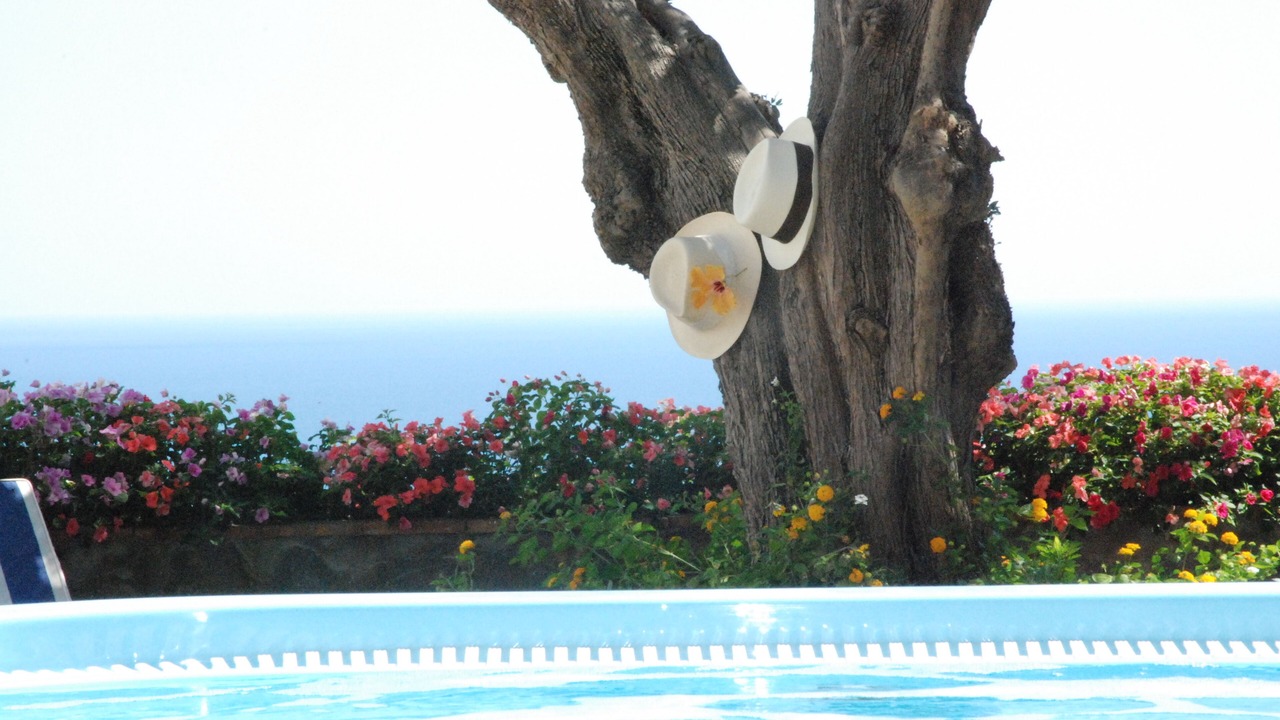 Photo of Outdoor in Marina Piccola