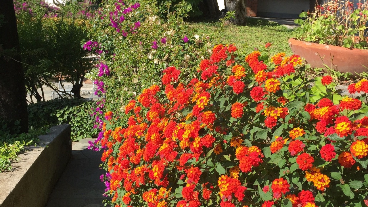 Photo of Outdoor in Marina Piccola