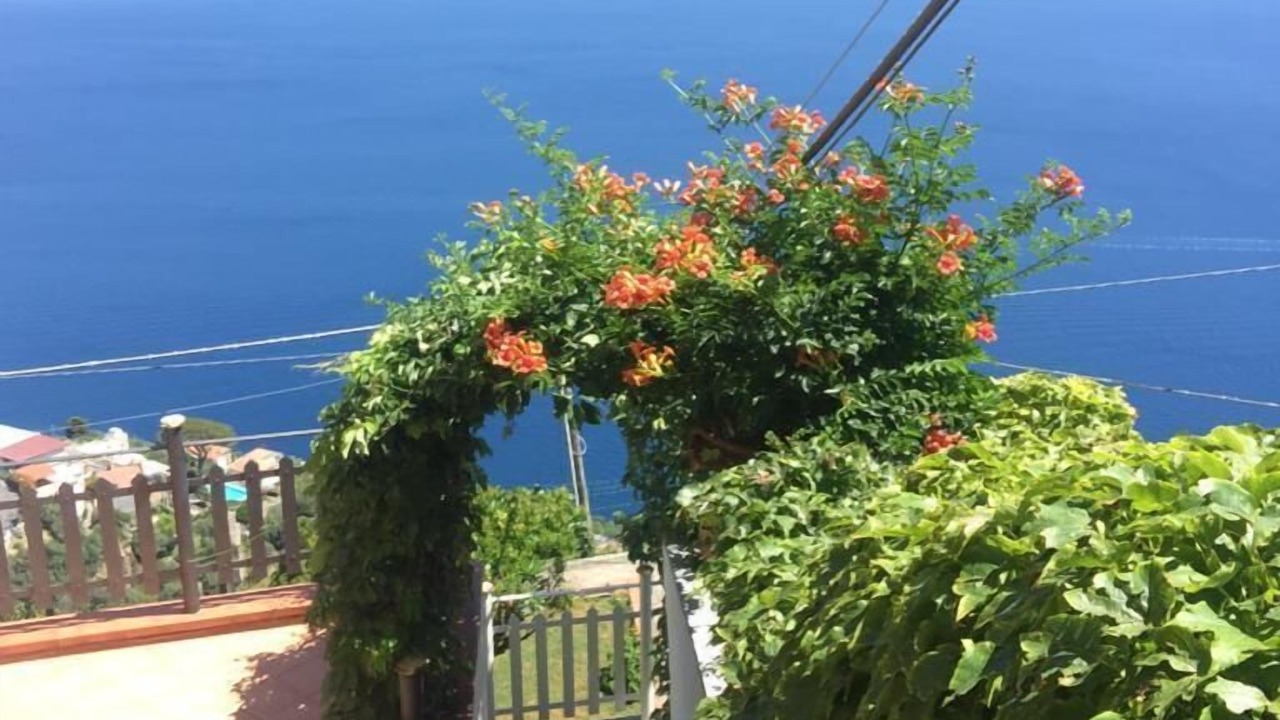 Photo of Outdoor in San Michele
