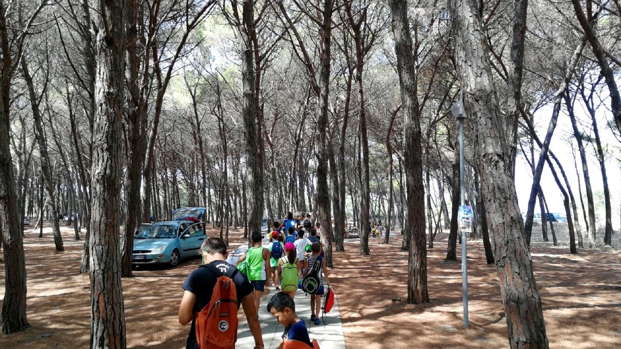 Photo of Others in Contrada Difesa I