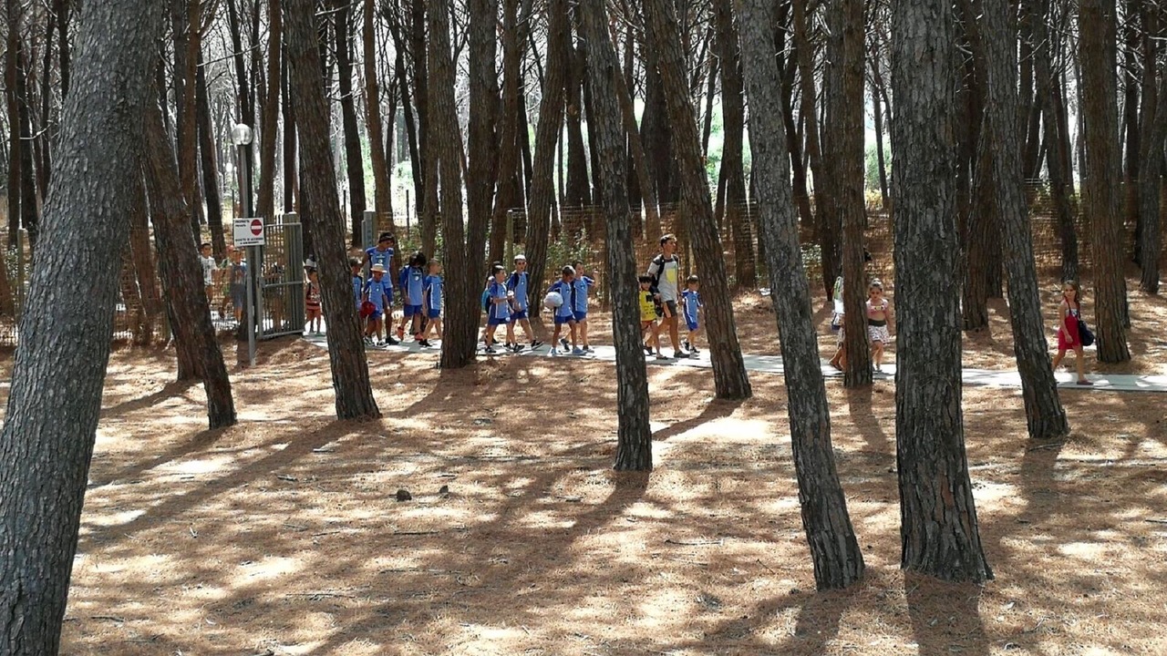 Photo of Others in Contrada Difesa I