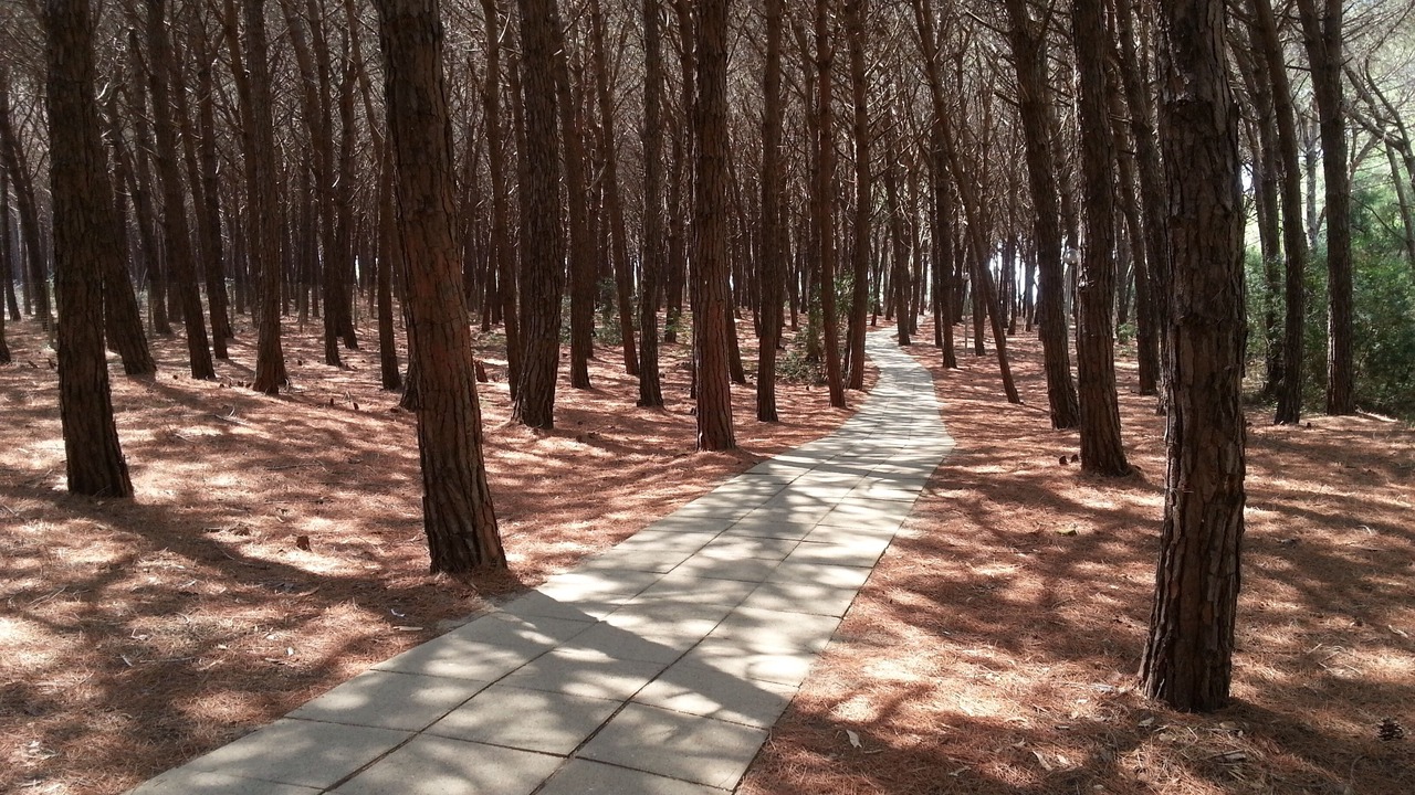 Photo of Outdoor in Contrada Difesa I