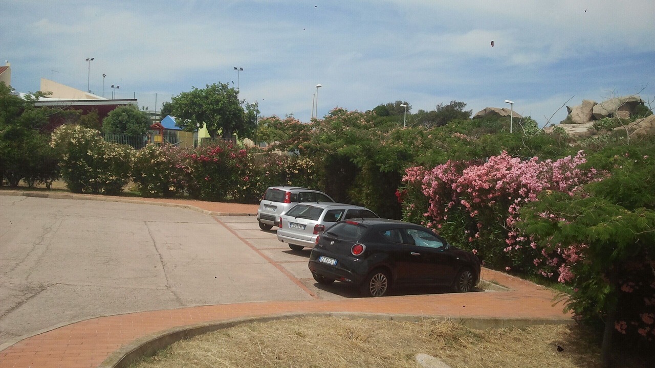 Photo of Outdoor in Palau