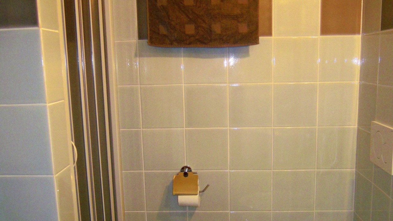 Photo of Bathroom in Palau
