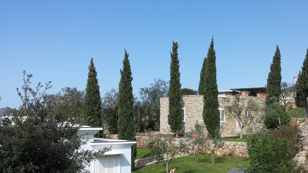 Photo of Outdoor in Itri