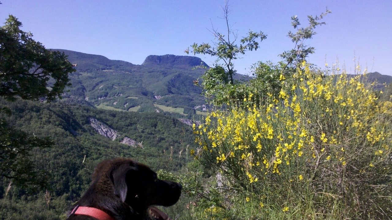 Photo of Others in Chiusi della Verna