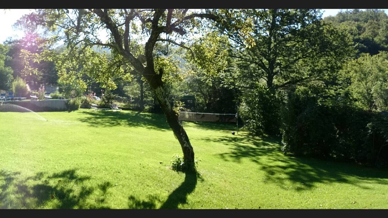 Photo of Outdoor in Chiusi della Verna