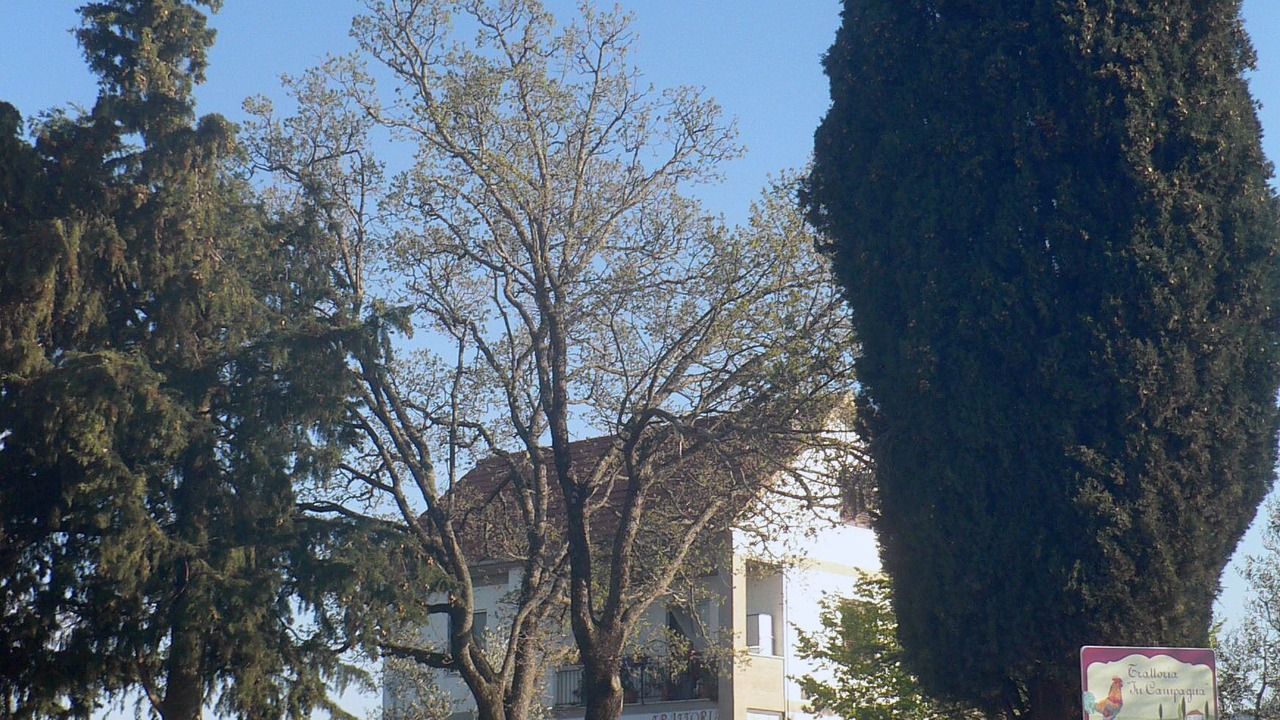 Photo of Outdoor in Castel del Piano