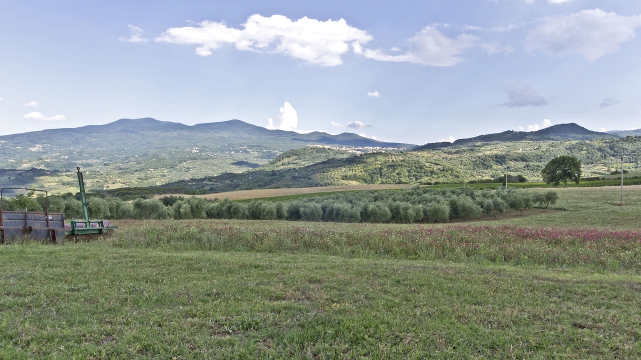 Photo of Outdoor in Castel del Piano