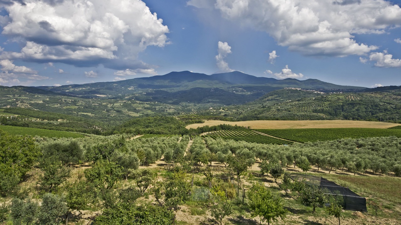 Photo of Outdoor in Castel del Piano