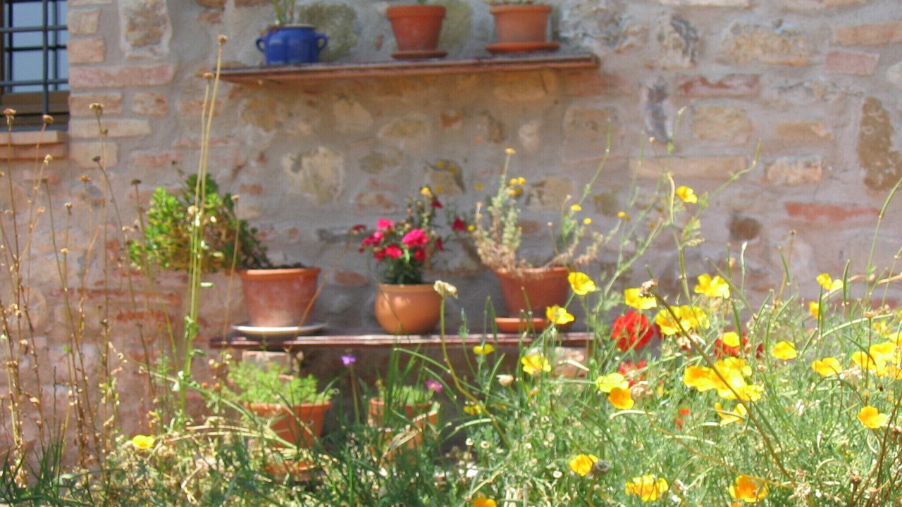 Photo of Outdoor in Fabro