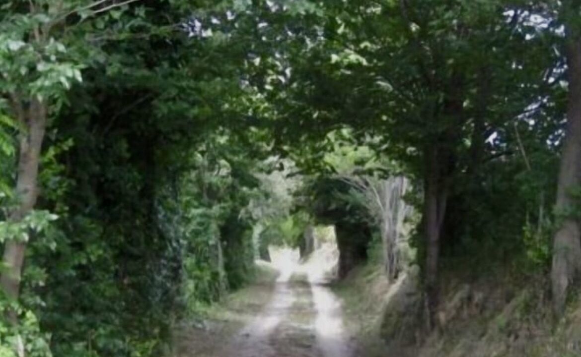 Photo of Outdoor in Cossignano