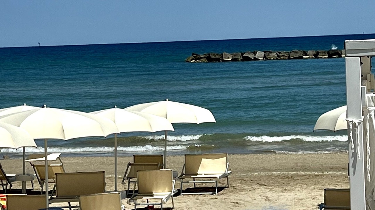 Photo of Others in Cossignano