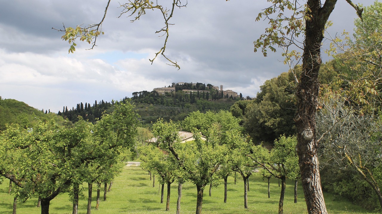 Photo of Outdoor in Montepulciano