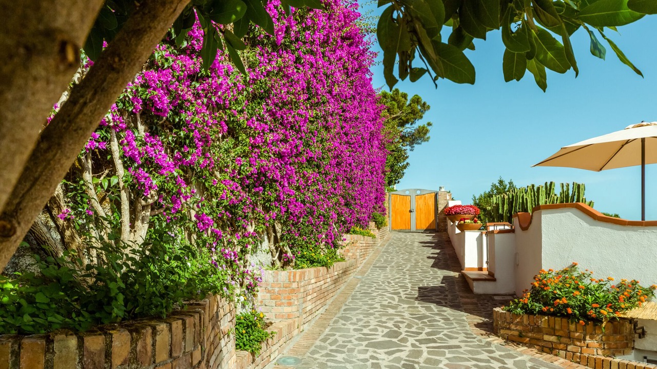 Photo of Outdoor in Casamicciola Terme