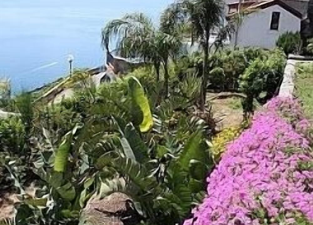Photo of Outdoor in Conca dei Marini