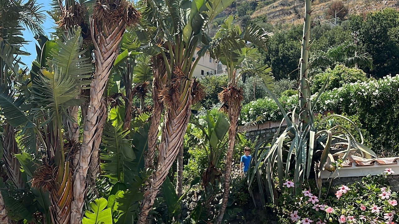 Photo of Outdoor in Conca dei Marini
