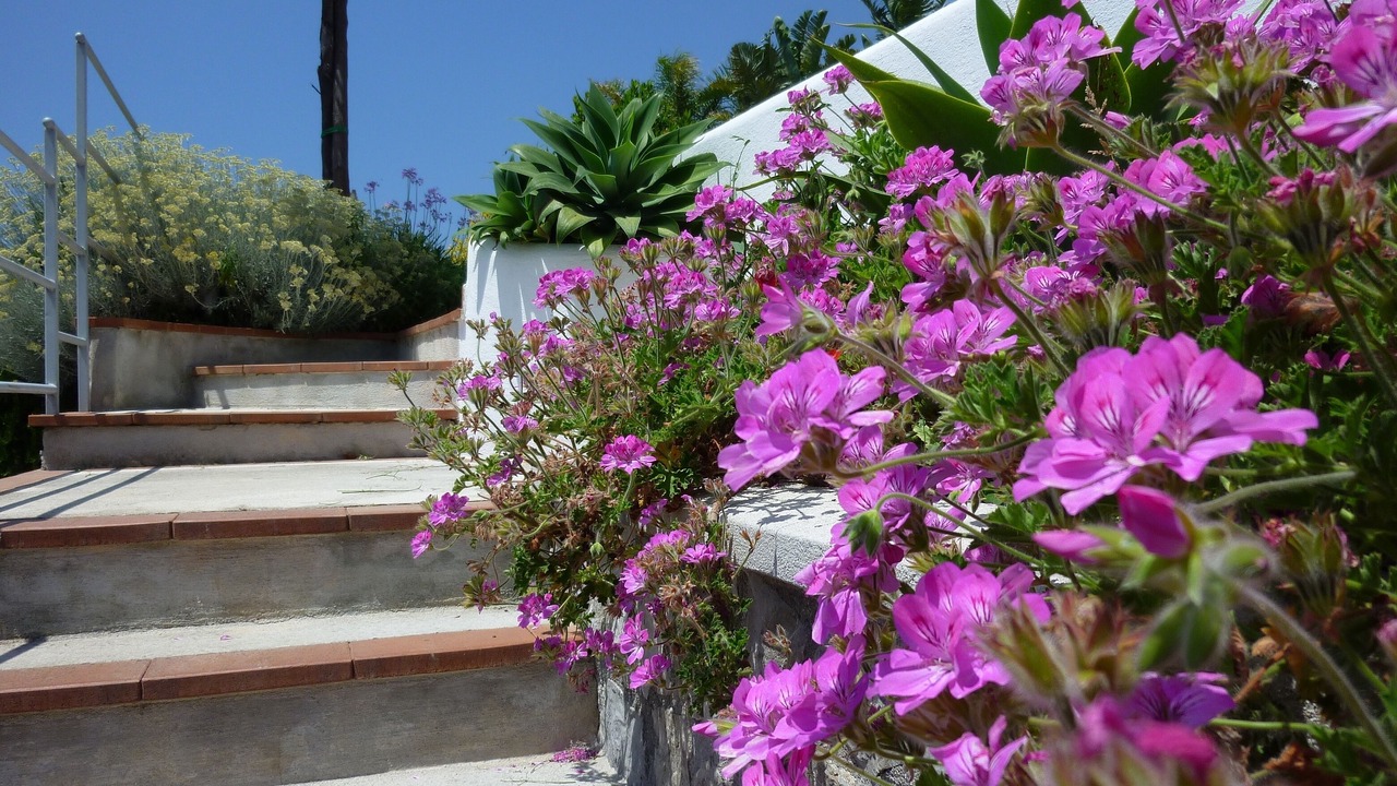 Photo of Others in Conca dei Marini