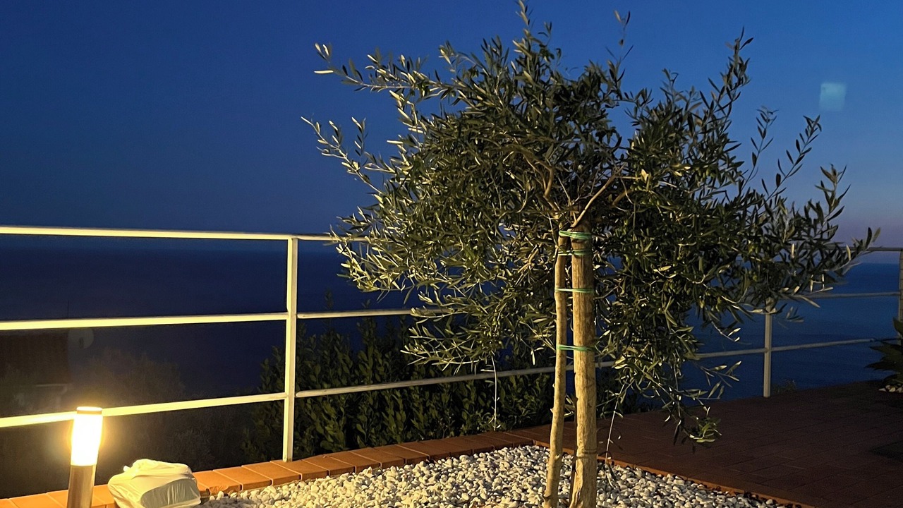 Photo of Outdoor in Conca dei Marini