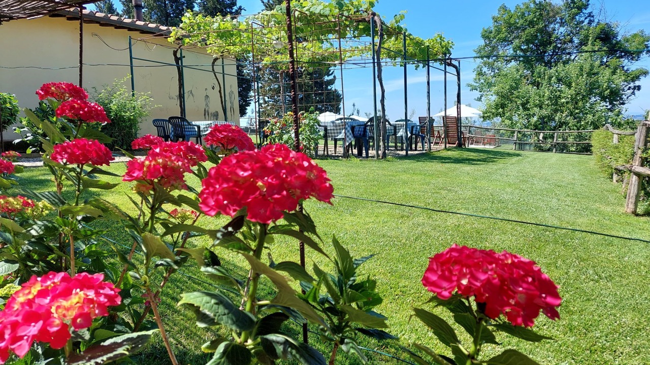 Photo of Outdoor in Scandicci