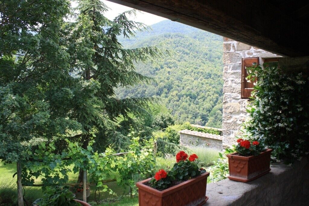 Photo of Outdoor in Londa