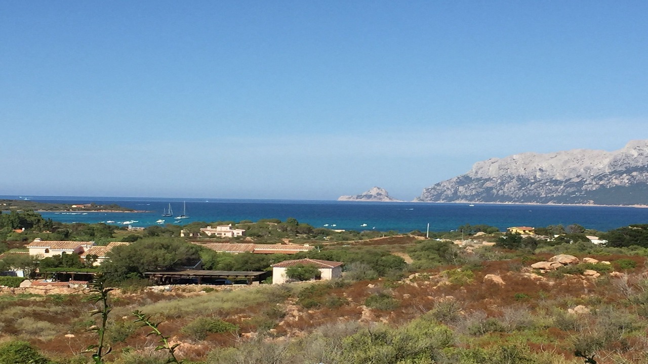 Photo of Others in Porto Istana