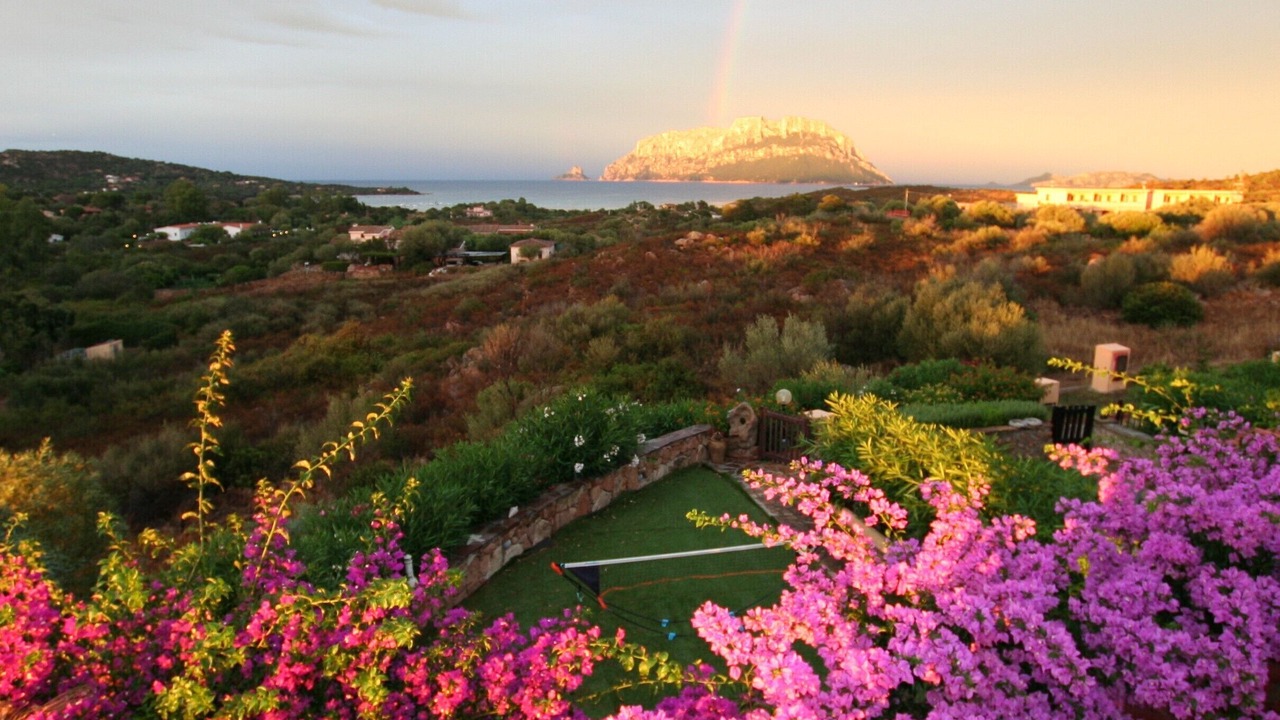 Photo of Others in Porto Istana