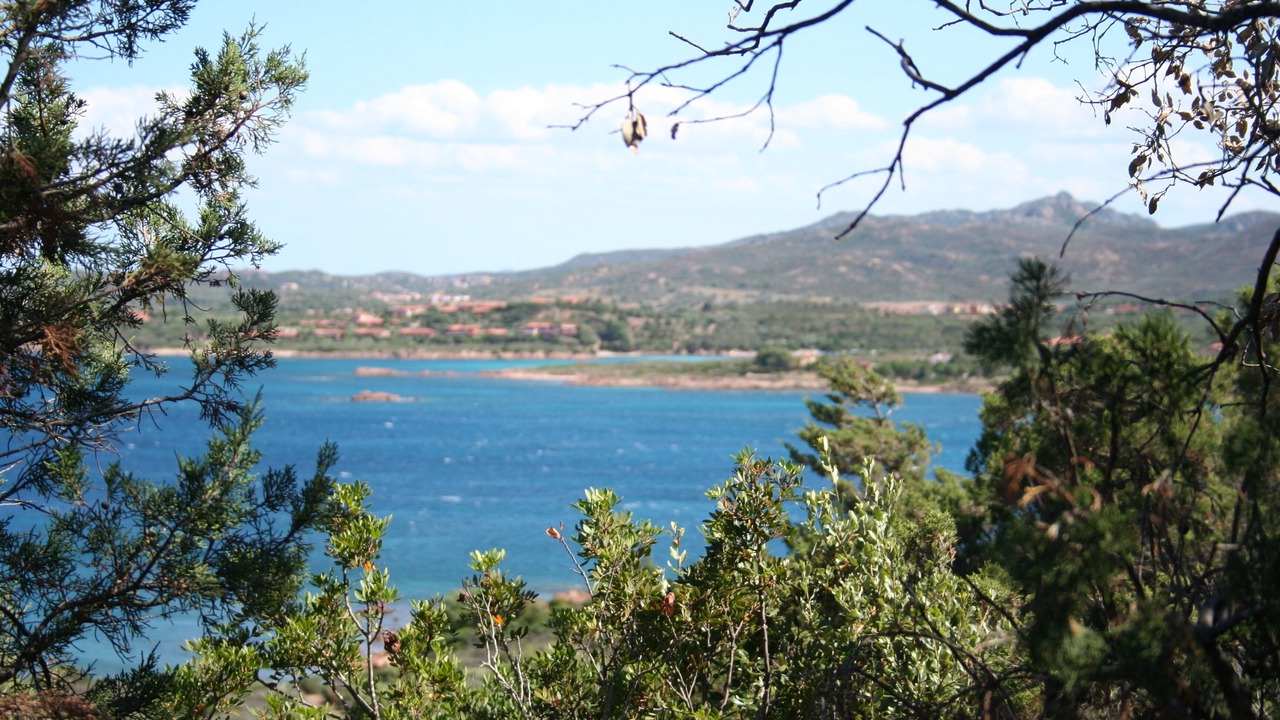 Photo of Others in Porto Istana
