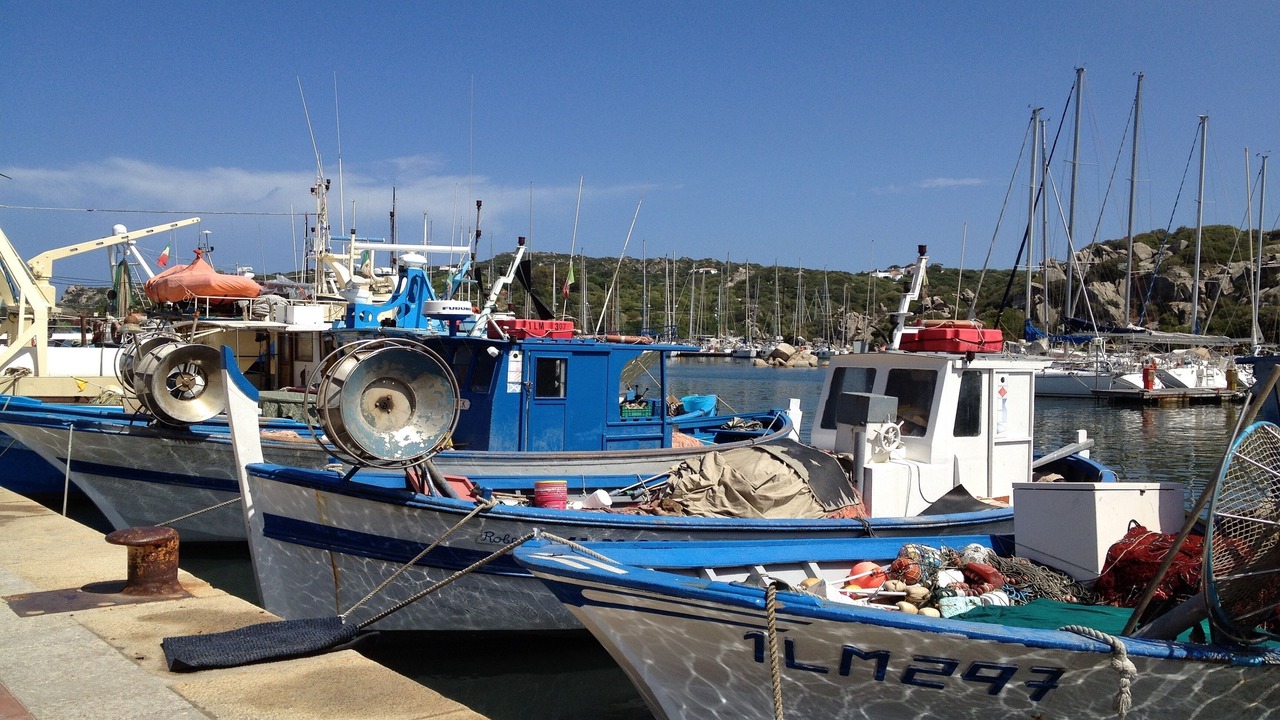 Photo of Others in Porto Istana