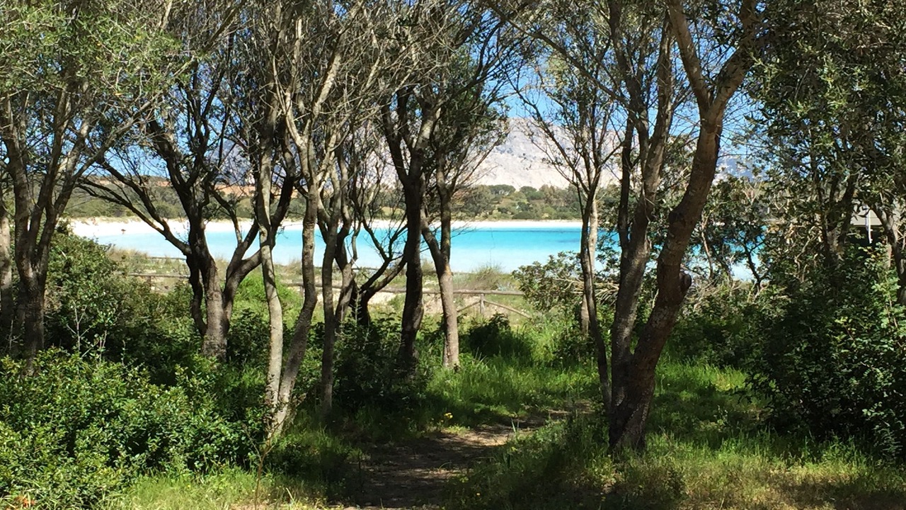 Photo of Outdoor in Porto Istana