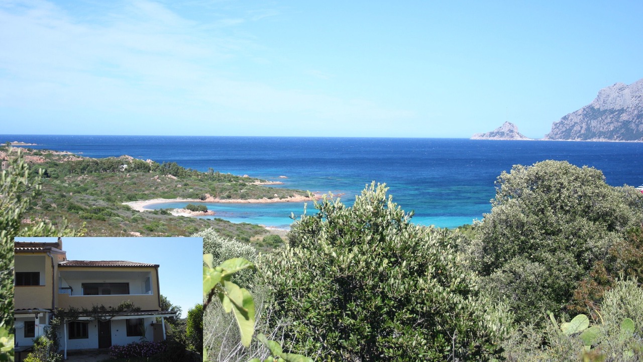 Photo of Others in Porto Istana