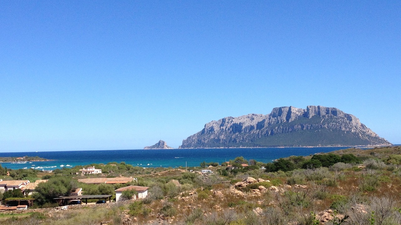 Photo of Others in Porto Istana