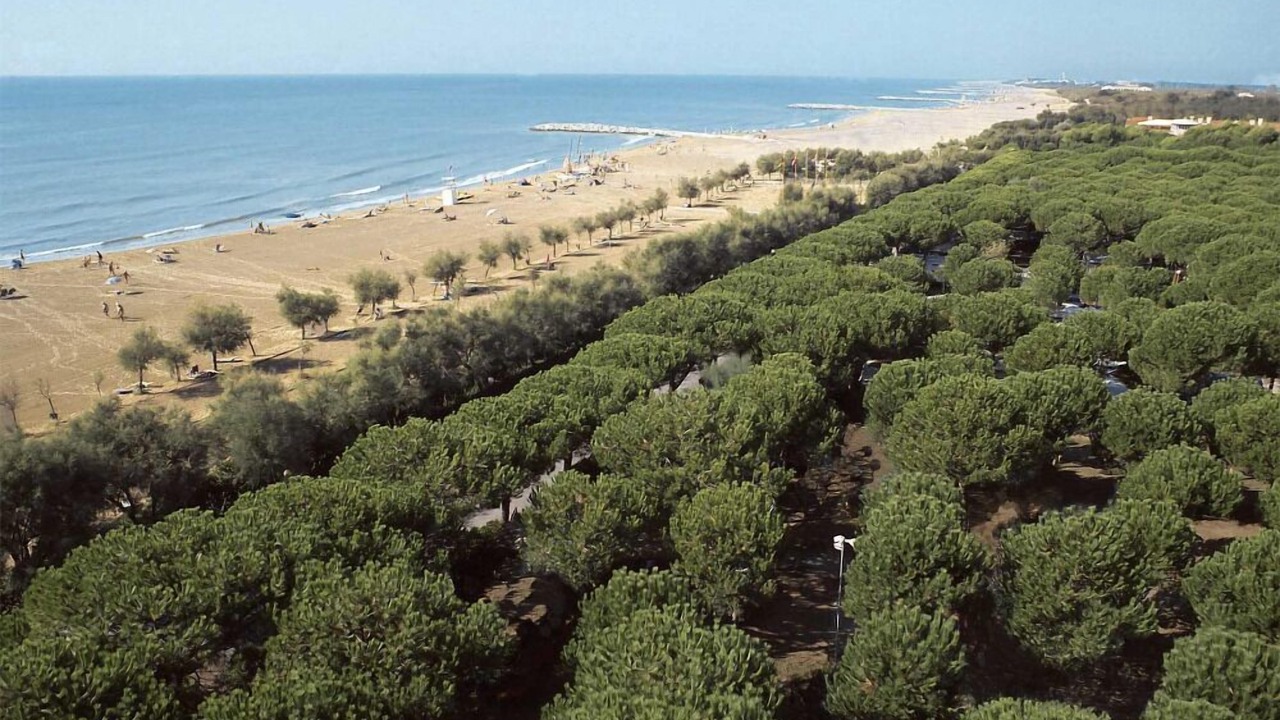Photo of Others in Punta Marina