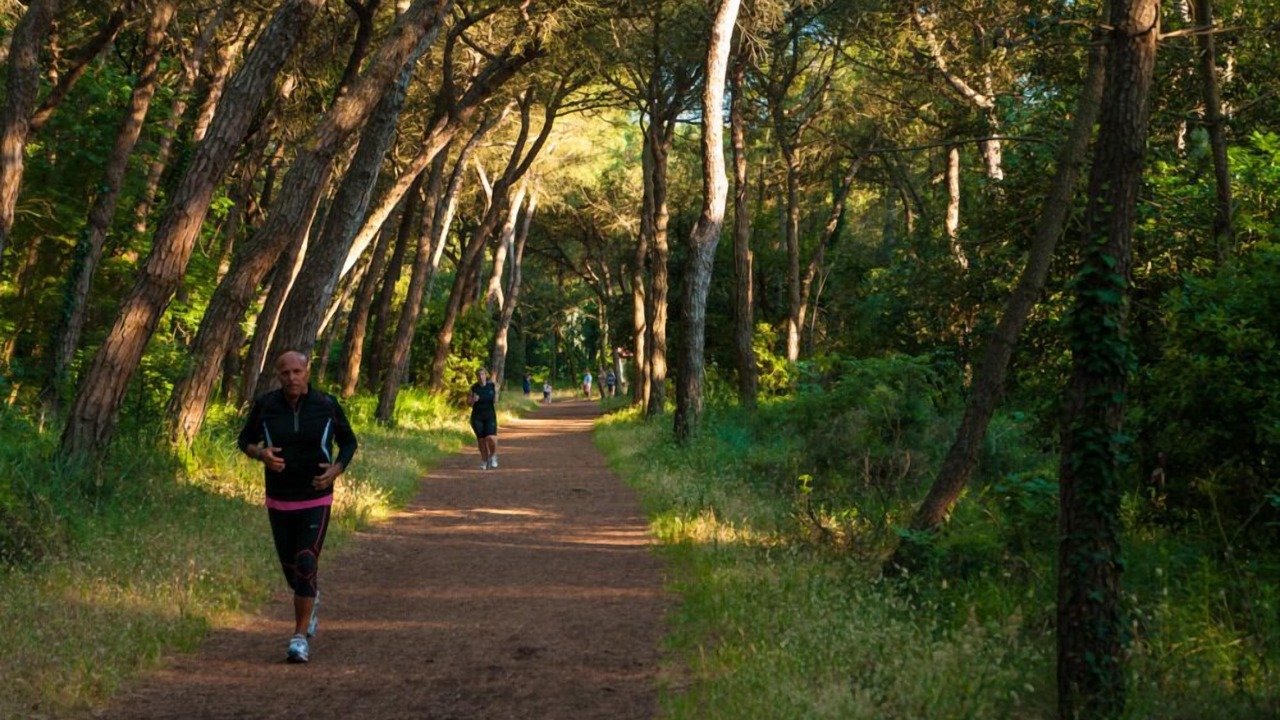 Photo of Outdoor in Punta Marina