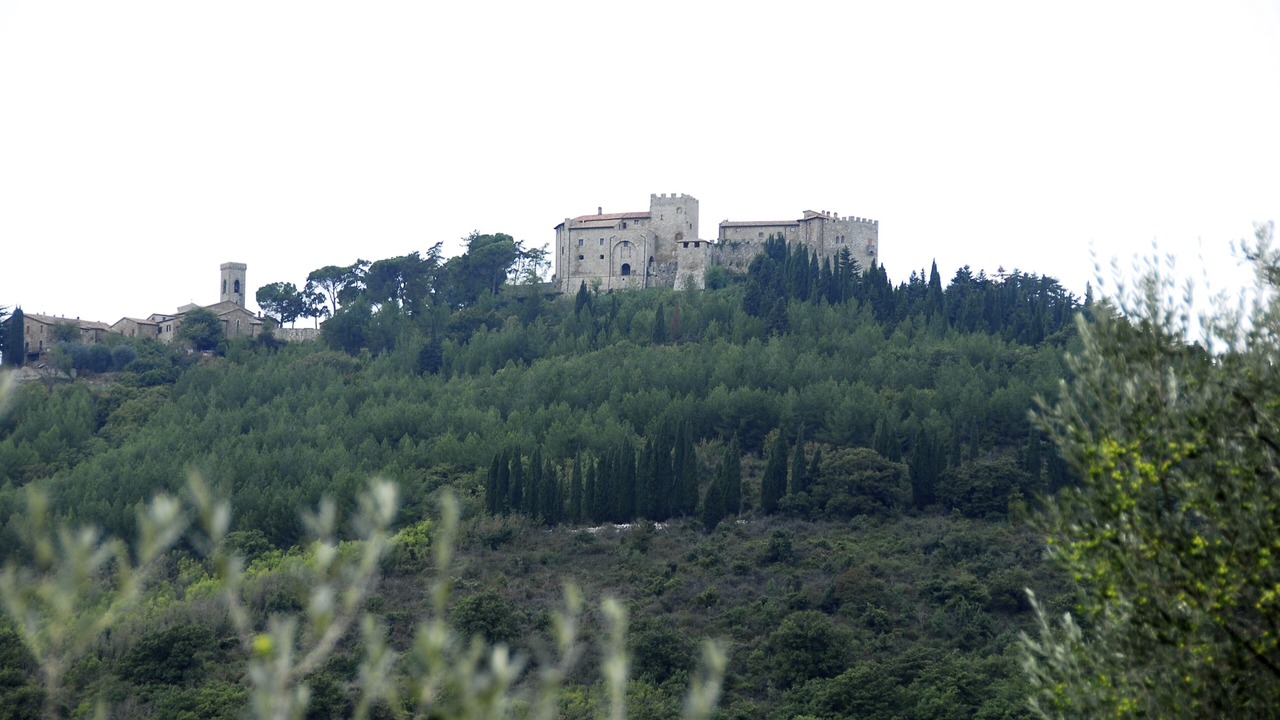 Photo of Others in Montegiove