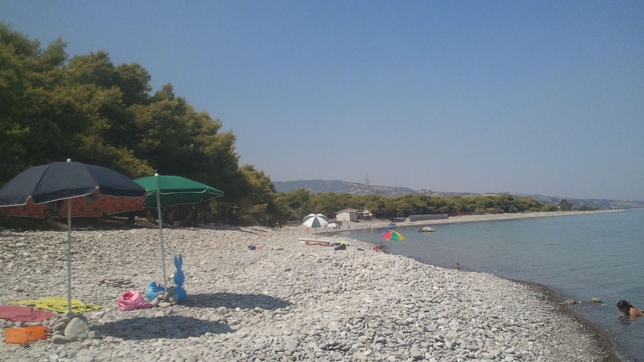 Photo of Others in Marina