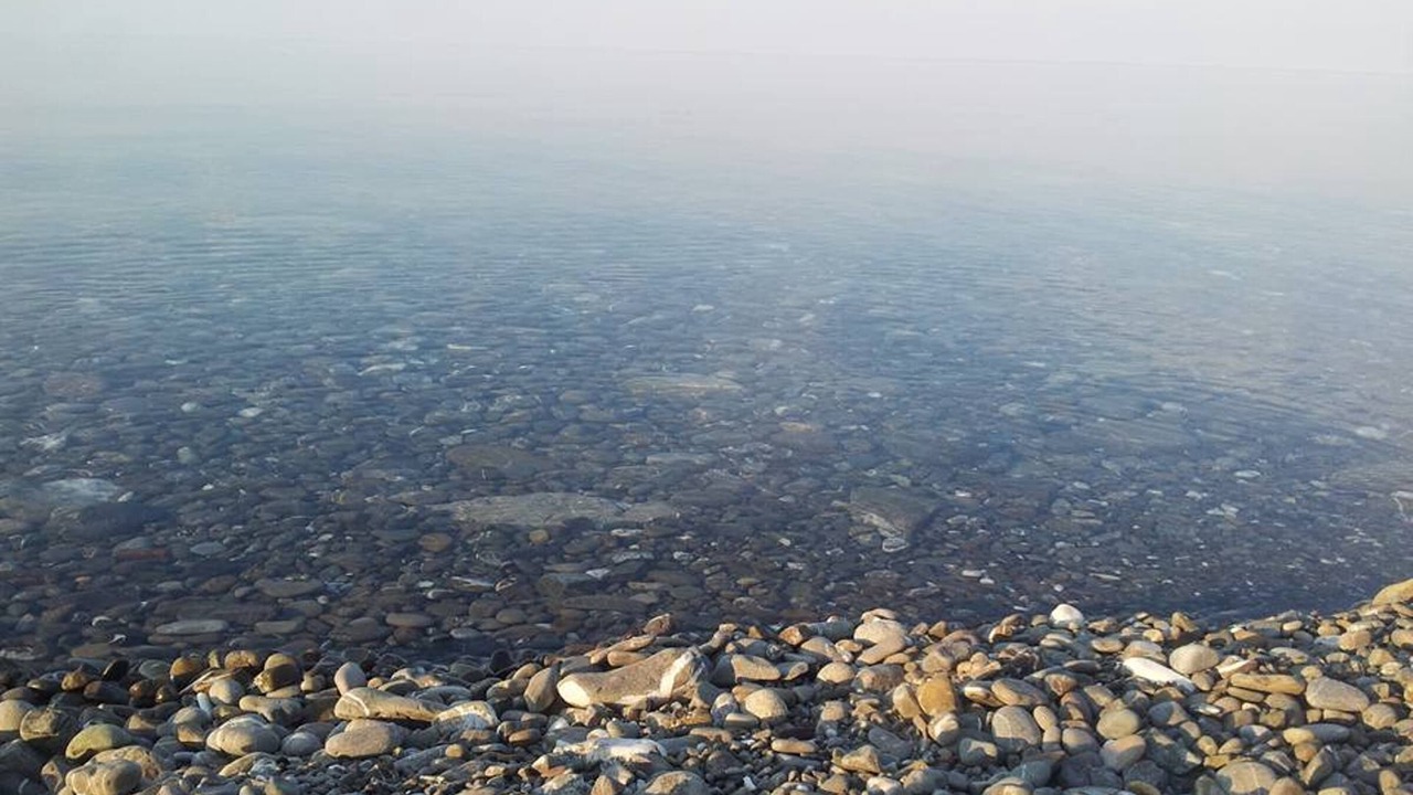 Photo of Outdoor in Marina