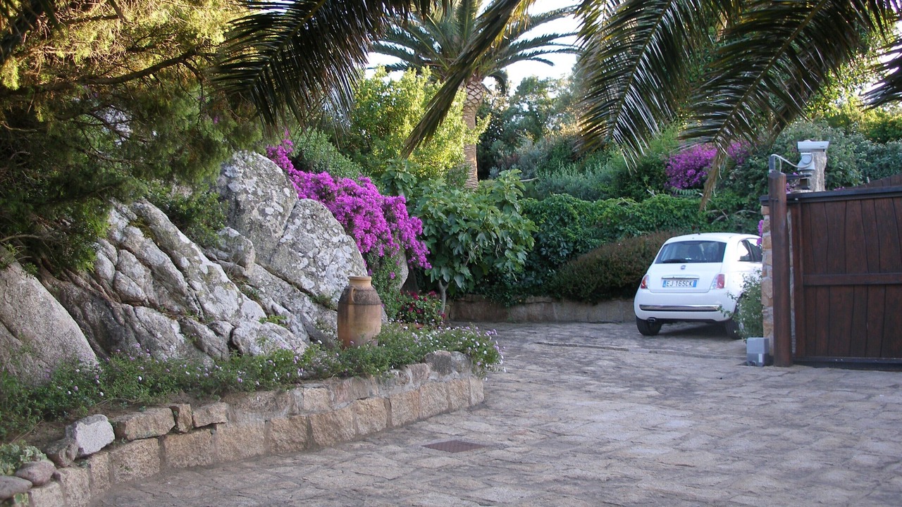 Photo of Others in Porto Cervo