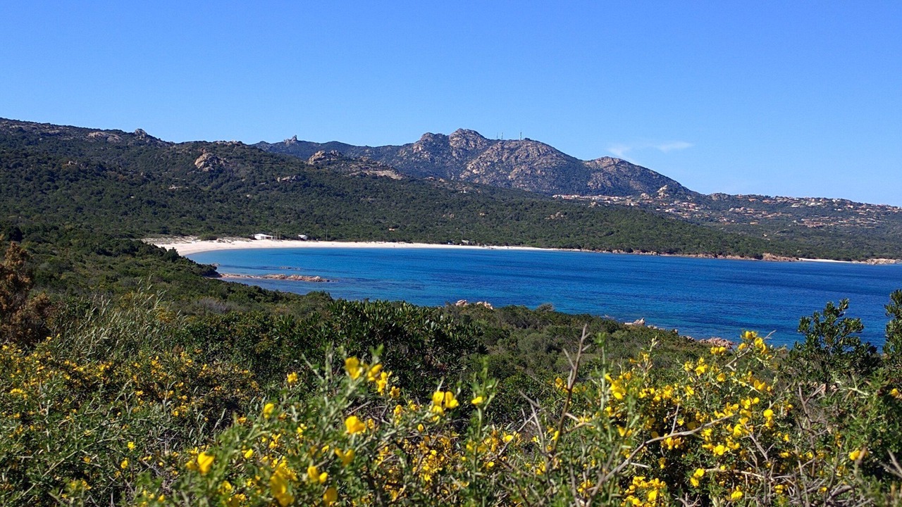 Photo of Others in Porto Cervo