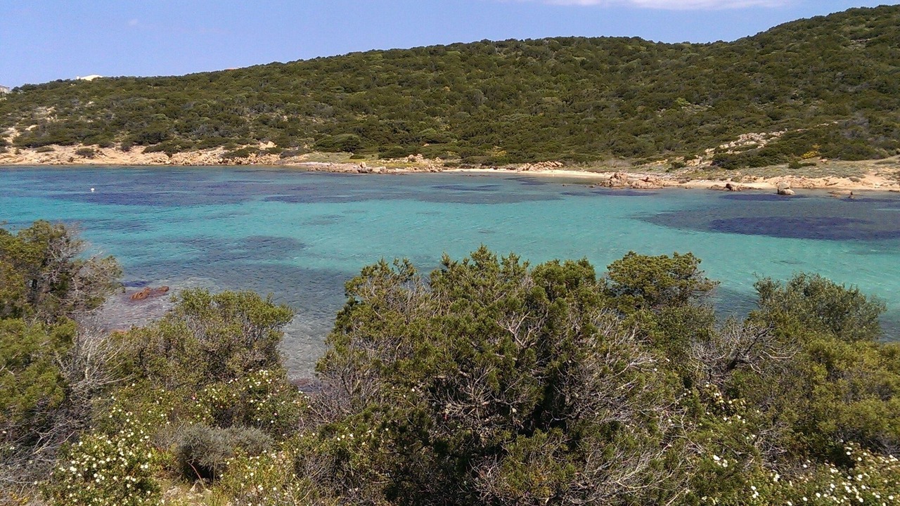 Photo of Others in Porto Cervo
