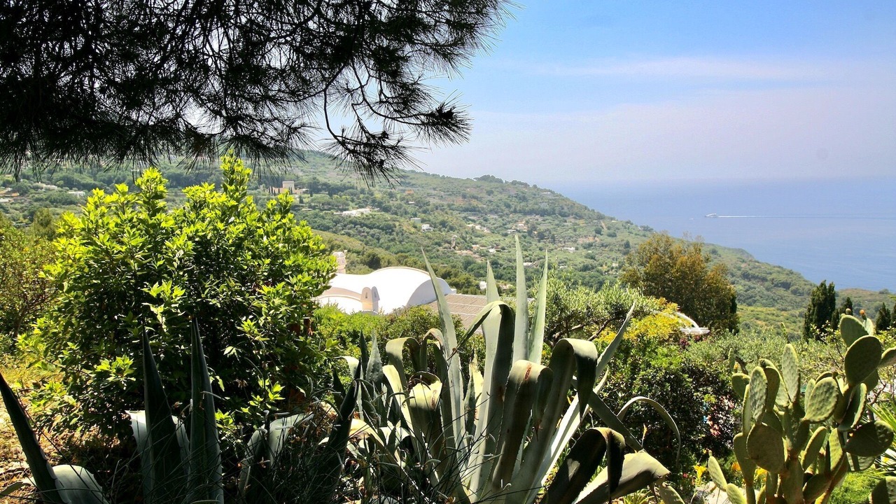 Photo of Outdoor in Anacapri