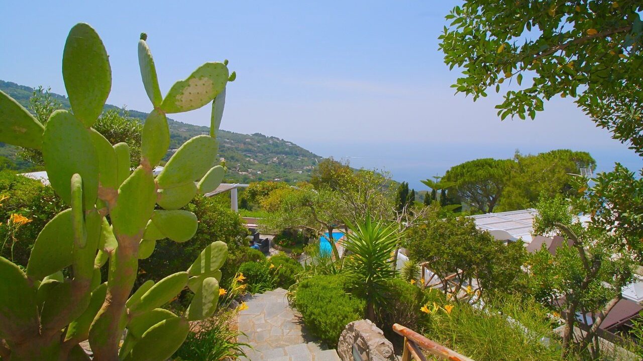 Photo of Outdoor in Anacapri