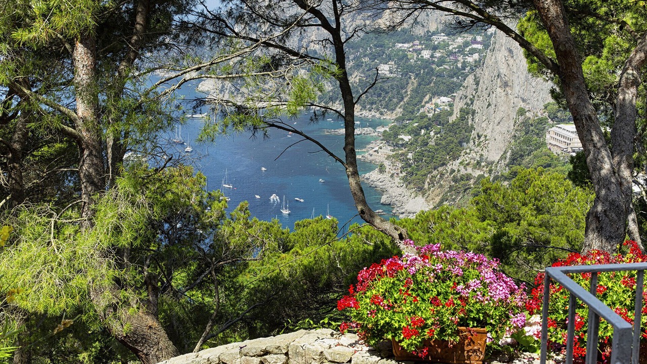 Photo of Others in Capri