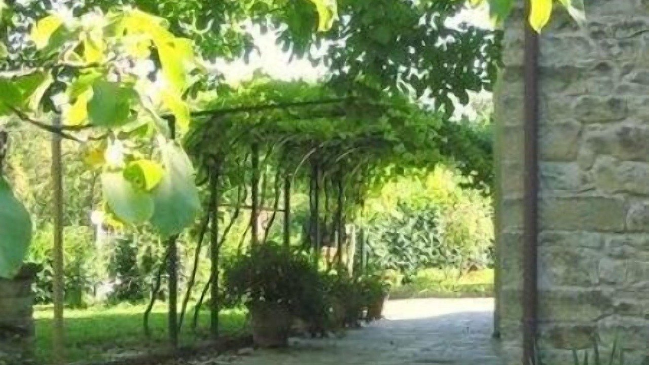 Photo of Outdoor in Castel San Niccolo