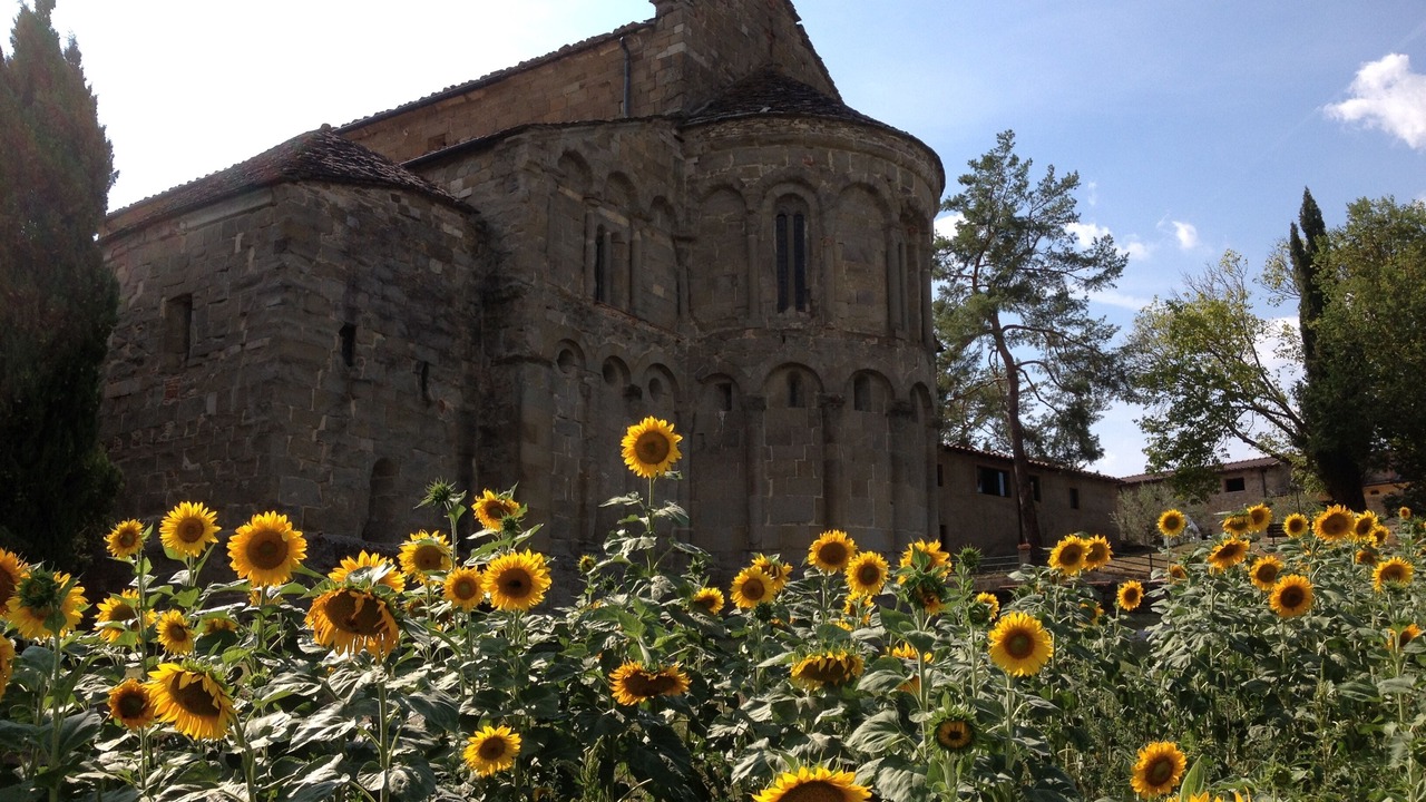 Photo of Others in Castel San Niccolo