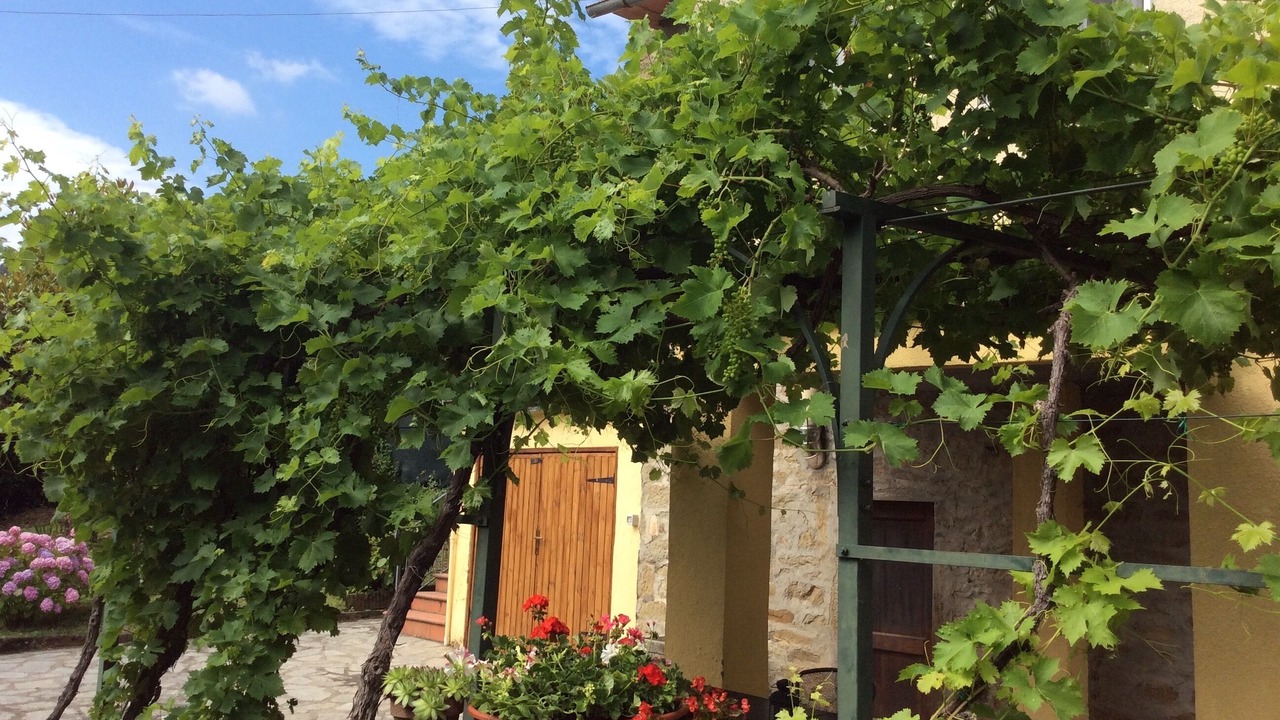 Photo of Outdoor in Castel San Niccolo